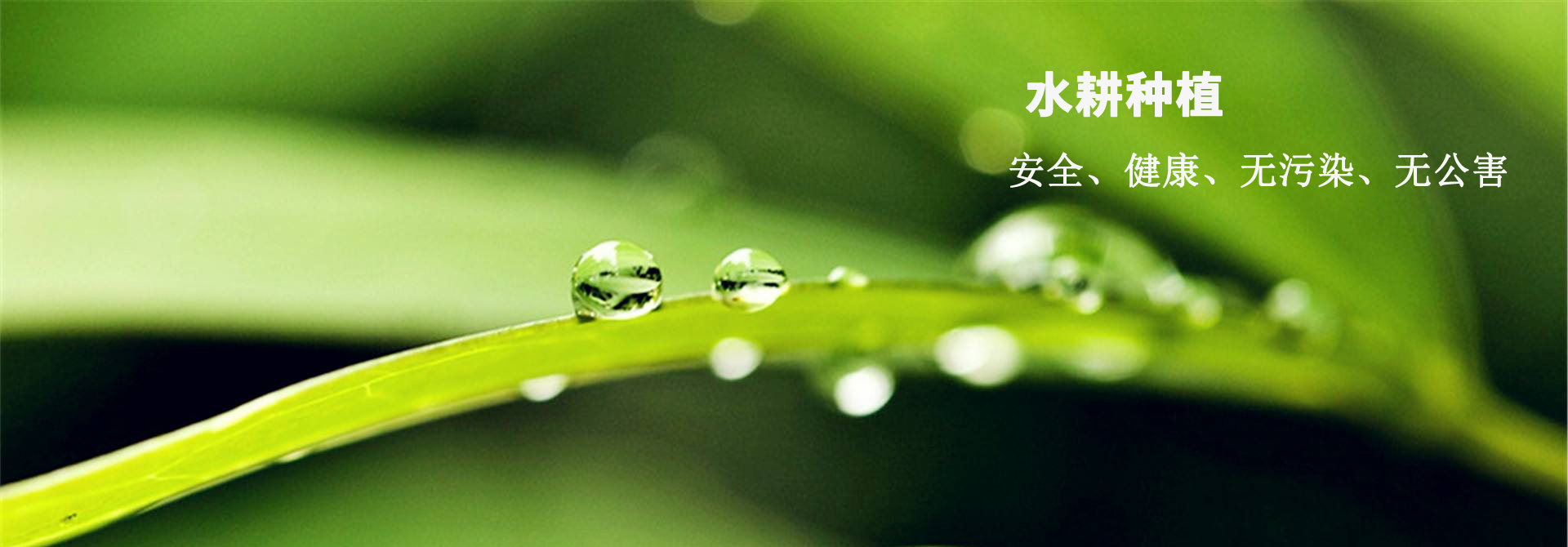 &#29615;&#29699;&#40;&#20013;&#22269;&#41;&#20307;&#32946;&#23448;&#26041;&#32593;&#31449;
